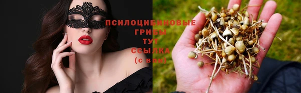 крисы Нягань
