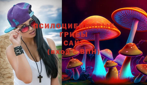 мдпв Нязепетровск
