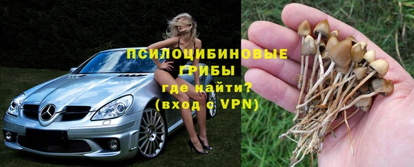 крисы Нягань